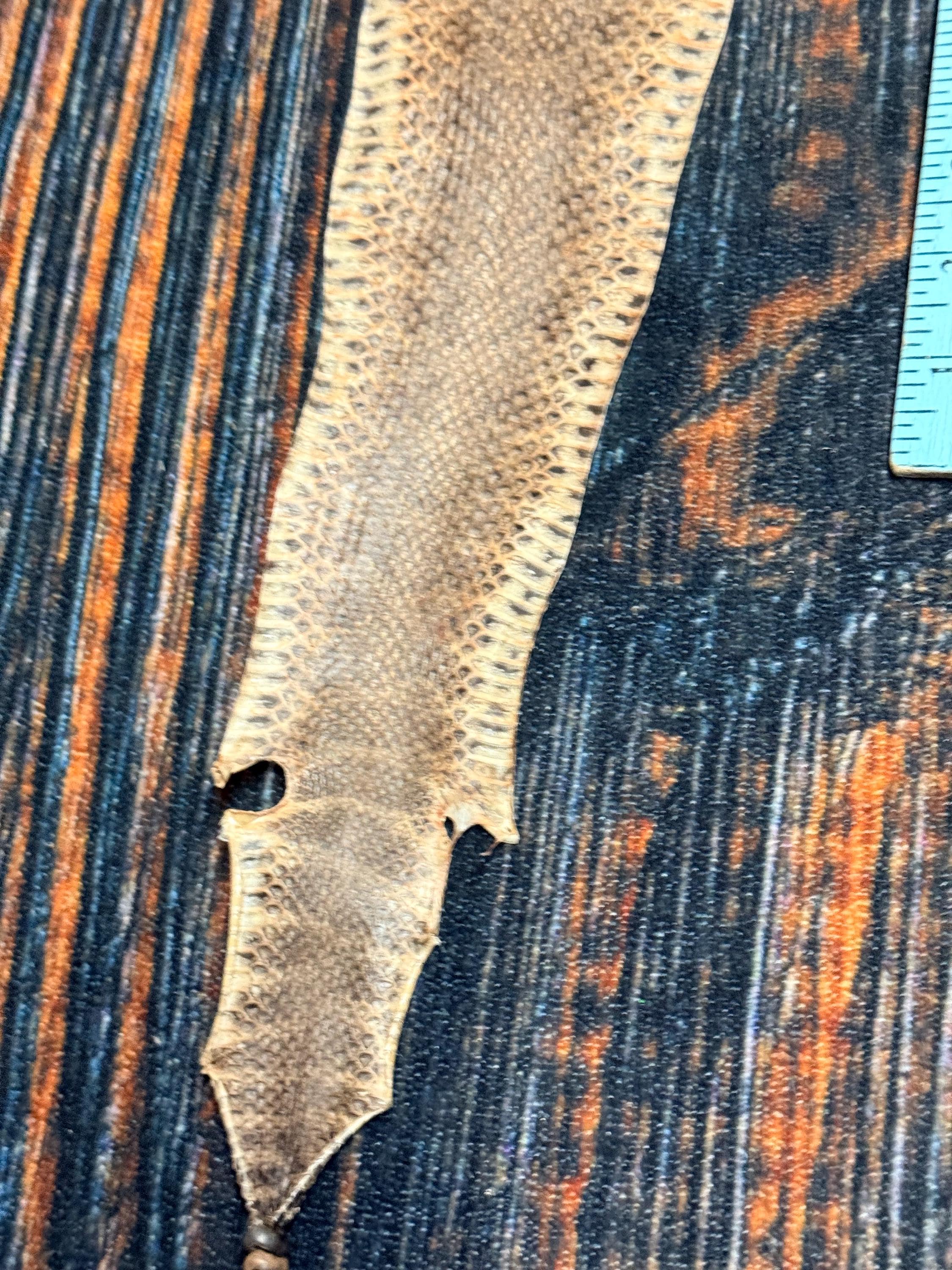 REAL Rattlesnake Skin Prairie Rattler Hide Dry Tanned Bow Wrap Blank ...