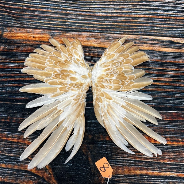 2 Chicken wings feathers plume millinery art fan Bustle Fly fishing Tying Craft art Supplies Supply Jewelry taxidermy Animal Mount costume