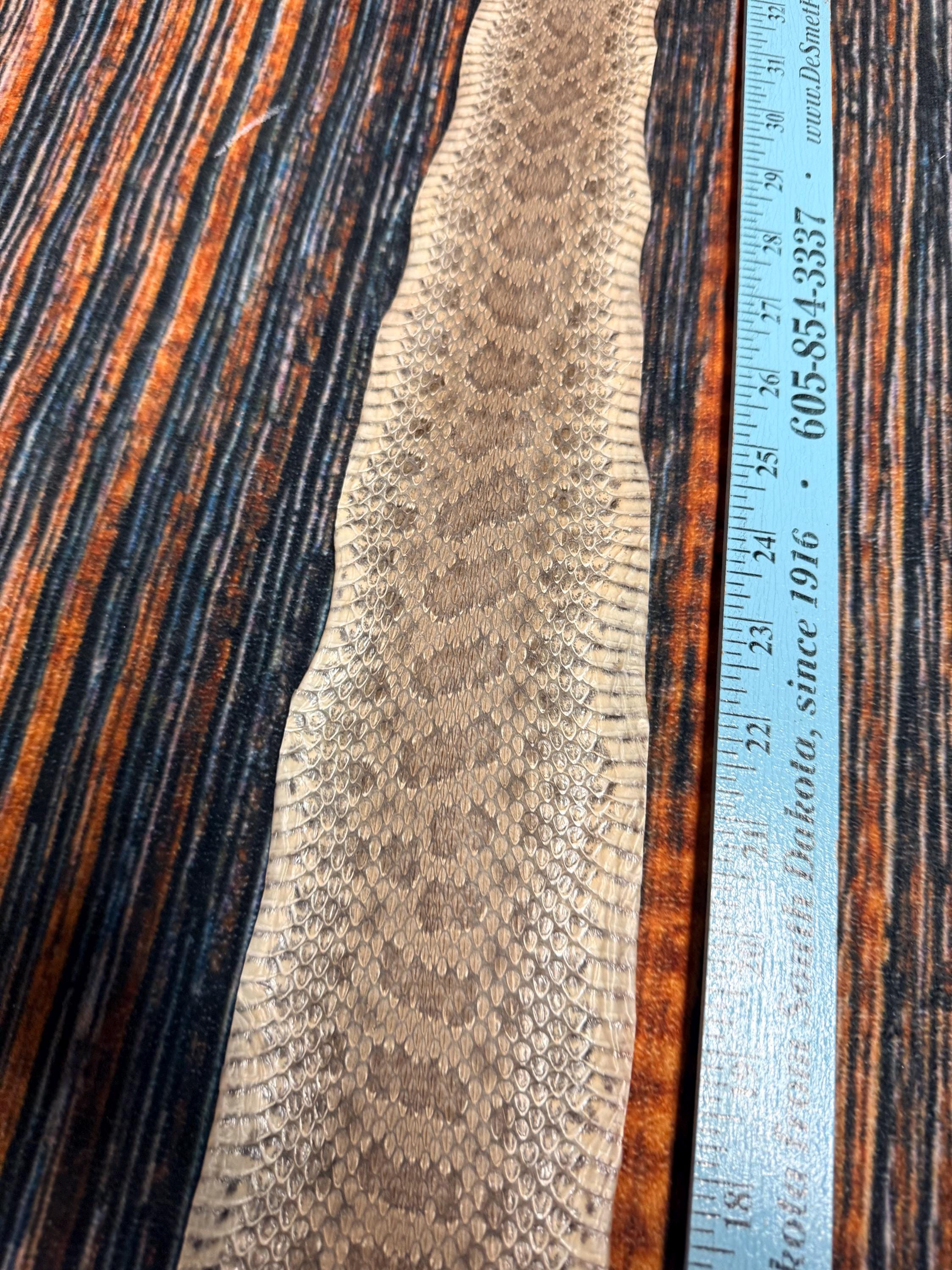 REAL Rattlesnake Skin Prairie Rattler Hide Dry Tanned Bow Wrap Blank ...