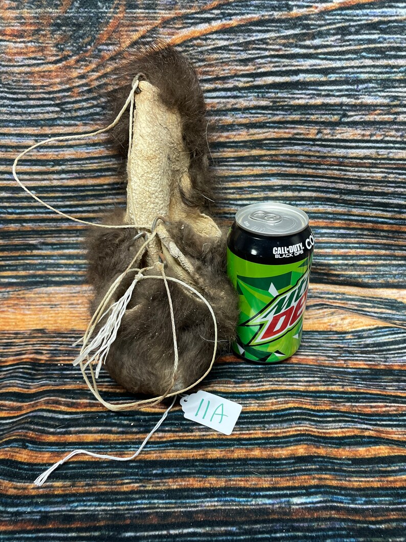 Buffalo Scrotum Real Bison Ball Bag Oddity Nutsack Gag Gift Etsy