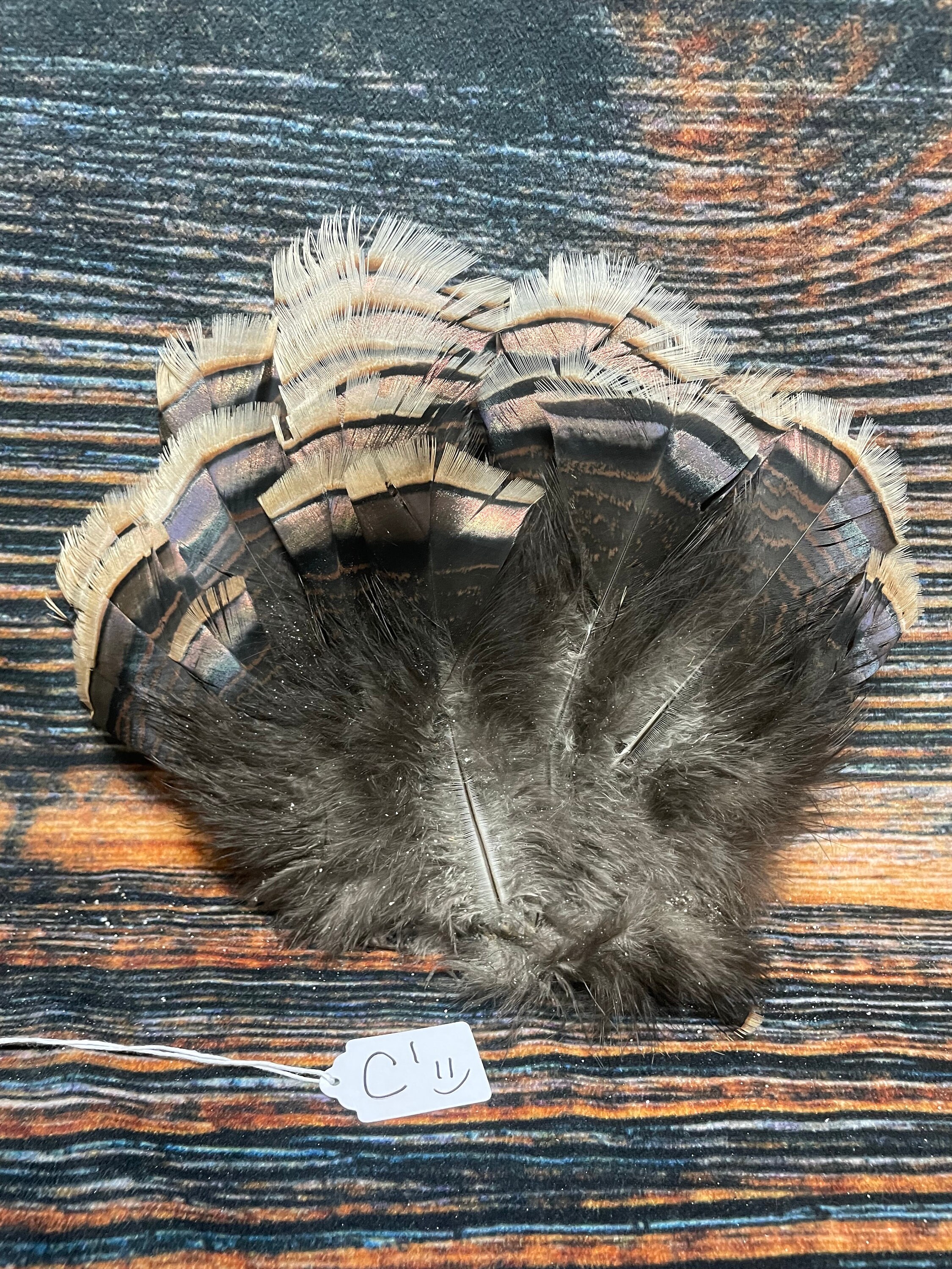 Raven Wing Feathers, 1/4 Lb Brown Turkey Pointers Quill Wing Wholesale  Feathers bulk Halloween Costume Fletching : 3628 