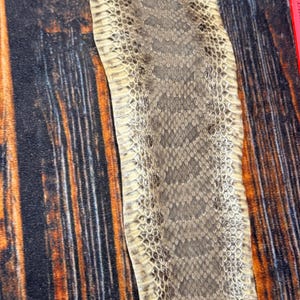 May include: A long, shed snake skin featuring a central pattern of overlapping, diamond-shaped scales in shades of tan, beige, and dark brown. The edges of the skin are lighter in color, showing a distinct texture of smaller, rectangular scales.