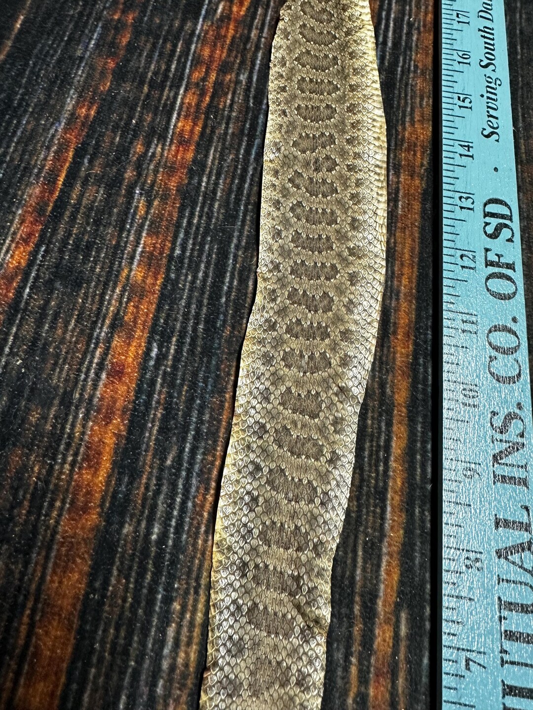 REAL Rattlesnake Skin Prairie Rattler Hide Dry Tanned Bow Wrap Blank ...