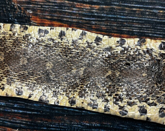 BULL Snake Skin Huge Snake Hide Dry Tanned Bow Wrap Pen Blanks Etsy