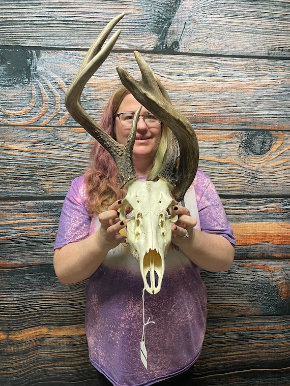 Trophy Giant 6 Point Whitetail Deer Skull Antler Mount Horn Head Unique Christmas Gift western man cave cabin decoration taxidermy art craft