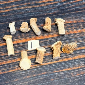 May include: Ten individual pieces of light brown deer antler, each featuring a textured exterior and a smooth, flat-cut base. The pieces vary in length and thickness, with some showing a distinct burr at the top. A small white square with the number 1 is visible.