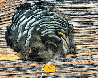 Real Wild Turkey mini tail feather millinery bustle Western Decor Art Craft Supply Jewelry odd Hand Fan decoy  Witchcraft Festival hat