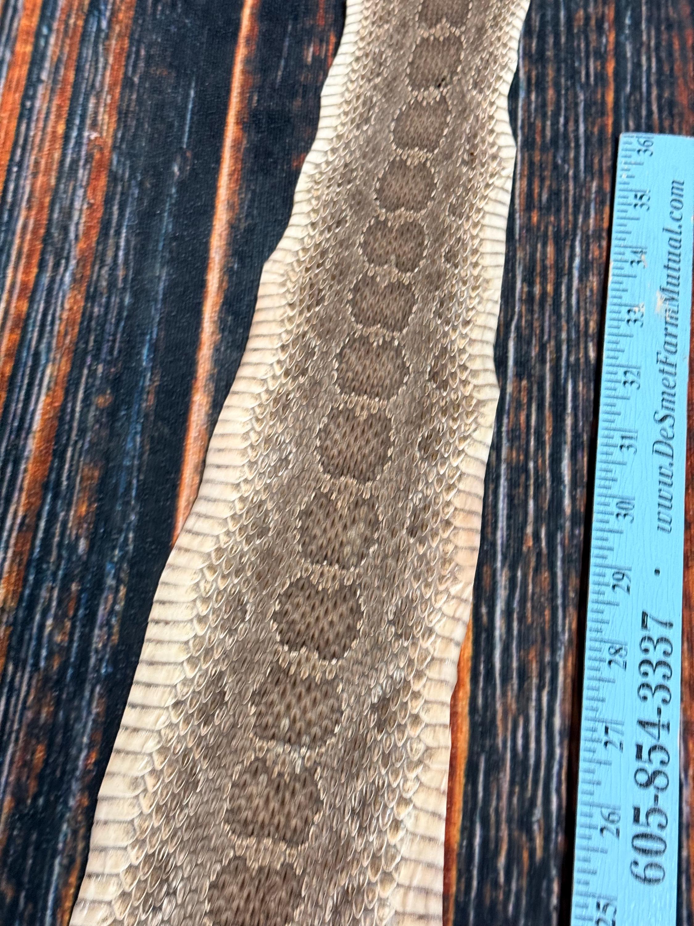 REAL Rattlesnake Skin Prairie Rattler Hide Dry Tanned Bow Wrap Blank ...
