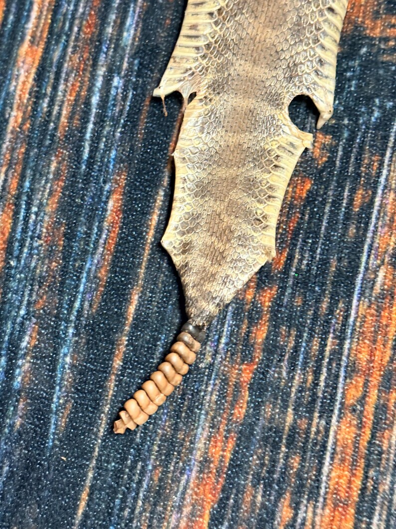 REAL Rattlesnake Skin Prairie Rattler Hide Dry Tanned Bow Wrap Blank ...
