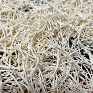 May include: Close-up of a pile of small, off-white wishbones. The wishbones are intertwined, creating a dense, textured pattern. The background is a dark, possibly wooden surface.
