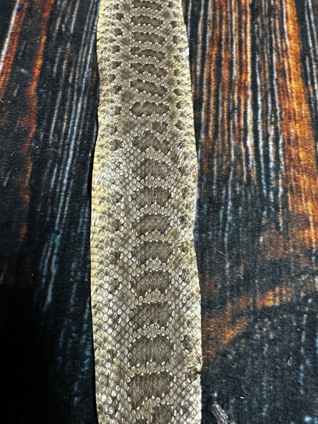 REAL Rattlesnake Skin Prairie Rattler Hide Dry Tanned Bow Wrap Etsy