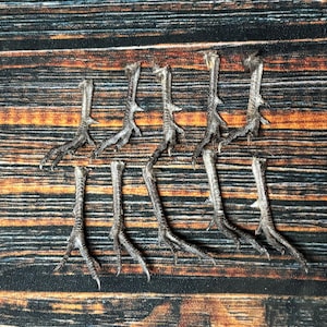 May include: Ten dried bird feet are arranged on a wooden surface. The feet are a grayish-brown color, with visible scales and sharp claws. The wooden surface has a striped pattern with shades of brown, orange, and black.