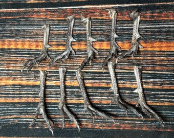 10 Pheasant feet art animal mount repair Witchcraft voodoo art supply unique craft decor dried cured education biology diagram model bird