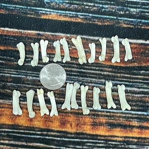 May include: A collection of 17 small, white, plastic bones. The bones are arranged in two rows on a wooden surface.