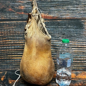 XXXL BULL Scrotum Oddities HUGE Ball Bag Unique Gift Odd Nut Sack Black ...