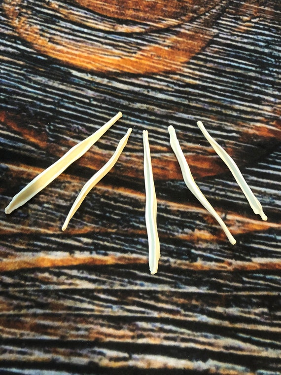 5 Coyote Baculum Penis Bones Unique Christmas Odd Gag Gift toothpick dick Art Man Cave Decoration VooDoo Witchcraft Bead Craft Supply Raw