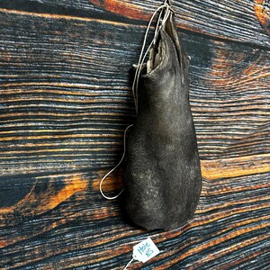 XXXL BULL Scrotum Oddities HUGE Ball Bag Unique Gift Odd Nut Sack Black ...