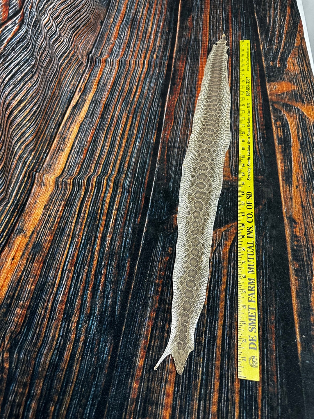 REAL Rattlesnake Skin Prairie Rattler Hide Dry Tanned Bow Wrap Blank ...