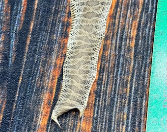 May include: A shed snake skin with a tan and brown diamond-like pattern, positioned next to a green ruler that shows the skin is approximately 4 inches wide at its broadest point, displaying a detailed, textured scale structure.