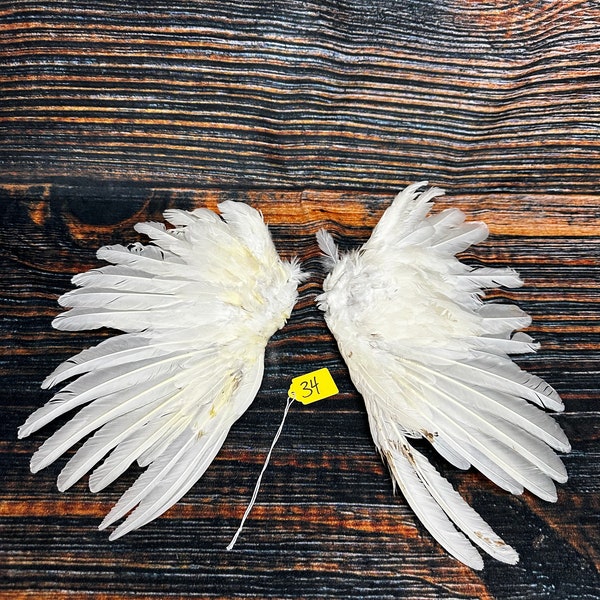 2 Chicken wings feathers plume millinery art fan Bustle Fly fishing Tying Craft art Supplies Supply Jewelry taxidermy Animal Mount costume