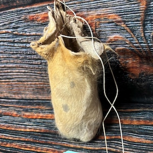 bull scrotum tobacco pouch Bull Bag Scrotum