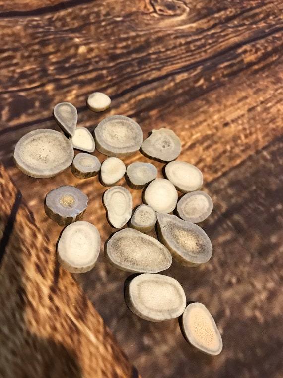20 Real Deer Antler Buttons Mountain Man Costume Art Supply Horn Craft Scrimshaw