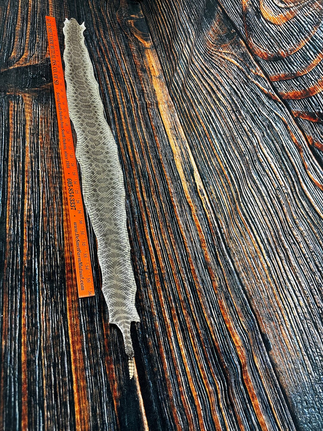 REAL Rattlesnake Skin Prairie Rattler Hide Dry Tanned Bow Wrap Blank ...