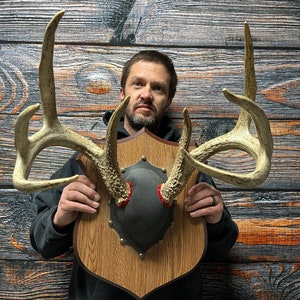 Trophy Wild 8 Point Whitetail Deer Rack Antler Mount Horn Unique Christmas Gift western man cave cabin decoration taxidermy art craft