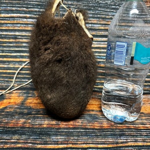 Buffalo Scrotum Real Bison Ball Bag Oddity Nutsack Gag Gift Winter Bag Art  Odd Man Cave Cabin Decor Conversation Piece Hide Nut Sack Rare