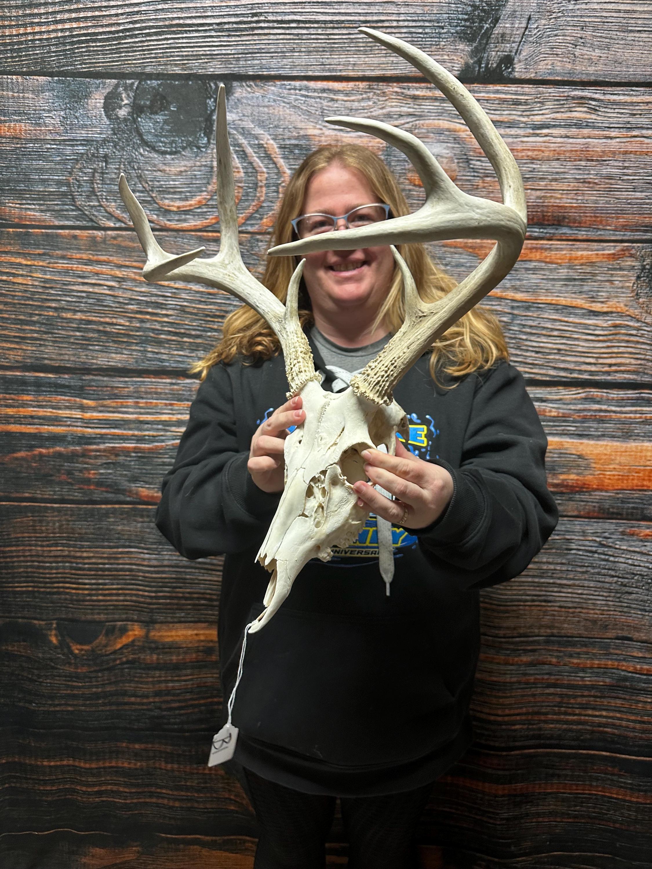Trophy Wild 8 Point Whitetail Deer Skull Antler Mount Horn Head Unique Gift western man cave cabin wedding decoration taxidermy art craft