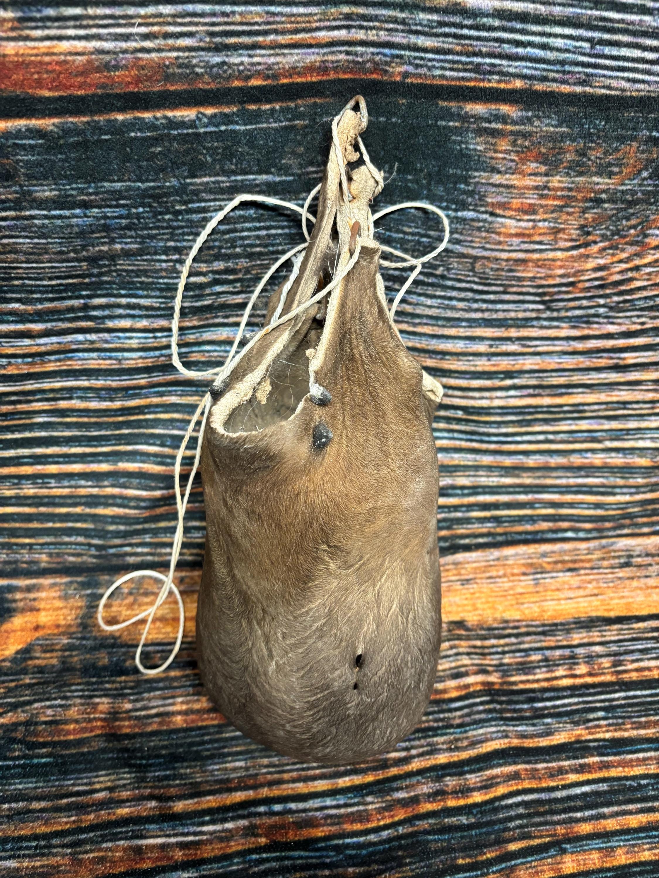 Buffalo Scrotum Real Bison Ball Bag Oddity Nutsack Gag Gift Winter Bag Art  Odd Man Cave Cabin Decor Conversation Piece Hide Nut Sack Rare