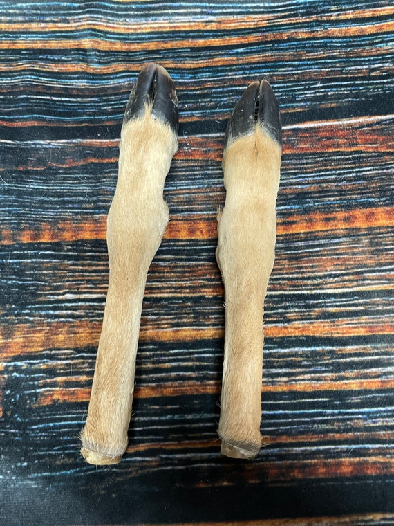 2 Straight Deer feet cured knife cane handle Gun Rack Witch craft Animal Mount antler Art Craft supplies voodoo gothic renaissance festival