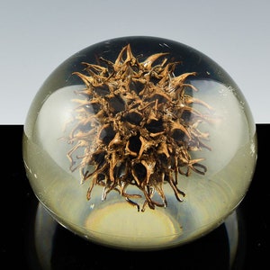 Pinecone Paperweight 