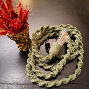 May include: An olive green macrame lamp cord with a vintage lightbulb. The cord is coiled and has a standard two-pin plug. A gold decorative vase with red flowers is in the background.