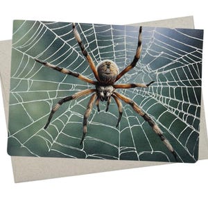 Spider Card, Spider Birthday Card (1 Card, 5X7 Inch) blank inside for all occasions like Halloween Card, gothic thinking of you - 1177