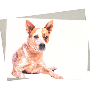 Australian Cattle Dog Card (7X5 Inches and Blank Inside) Australian Cattle Dog Birthday Card - 419