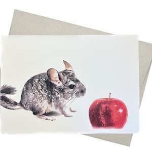 Chinchilla Greeting Card with Envelope (5X7 Inches and Blank Inside) for Birthday, Anniversary, Sympathy, or from a Veterinarian