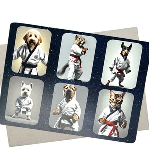 Martial Arts Congratulations Card (7X5 Inch and Blank Inside for All Occasions) for karate, judo, kickboxing, taekwondo, akito - 723