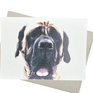 English Mastiff Greeting Card with Envelope (5X7 Inches and Blank Inside) graduation, get well, birthday, anniversary, gratitude, sympathy