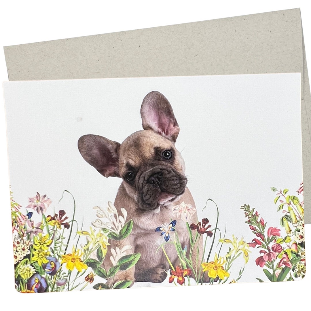 French Bulldog Card, Frenchie Birthday Card (1 Premium Folded Card ...