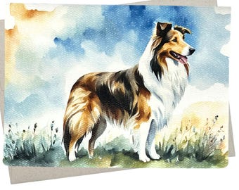 Collie Card, Collie Birthday Card (1 Premium Card, 5X7 Inch) dog card blank for every occasion like retirement or thinking of you - 880