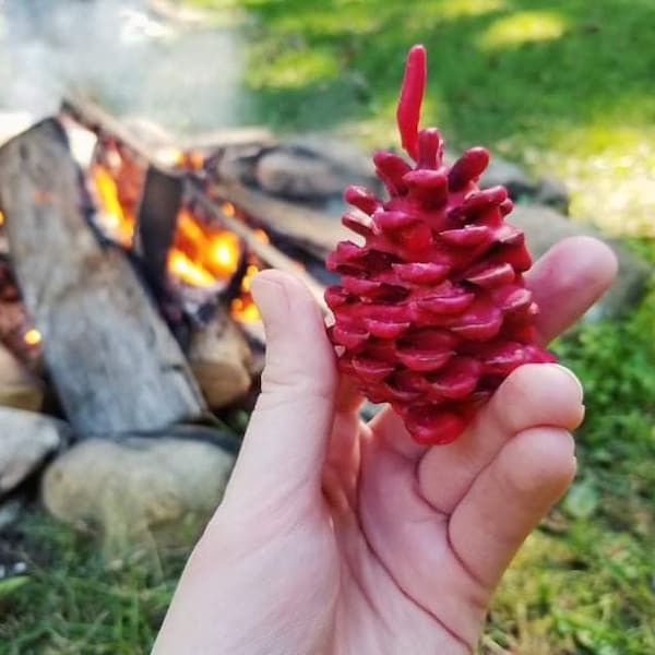 Scented pinecone fire starters, 10 wax pinecones, Holiday decor, All natural fire starter, Pinecone gift