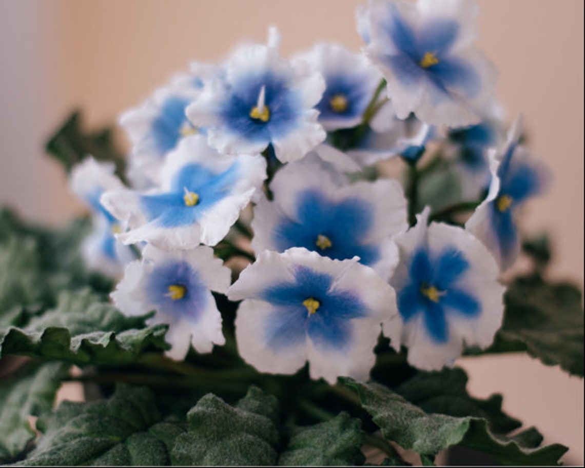 African violet pots artificial flowers arrangements fake Etsy