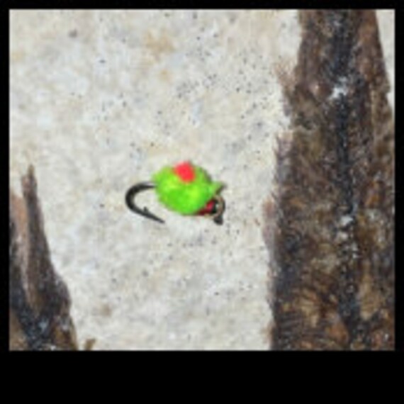 Micro Eggstasy Egg Fly 6 Pack Etsy