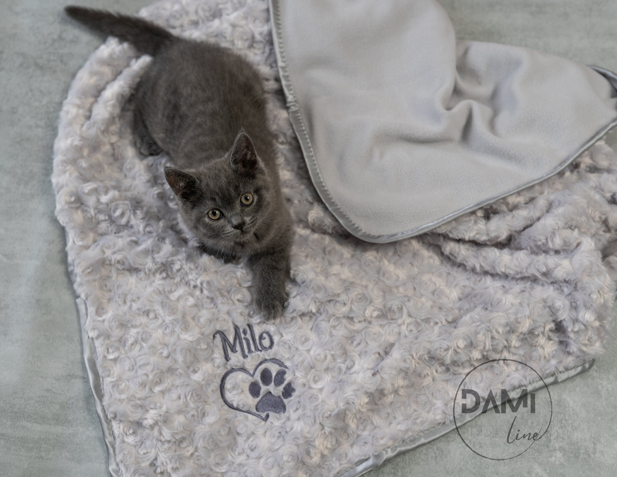 Personalised top cat blanket