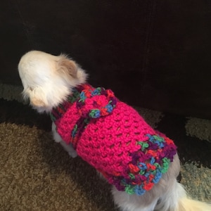Op de afbeelding: Een kleine witte hond die een roze gebreide trui draagt met kleurrijke accenten. De trui heeft een bloemmotief op de rug.