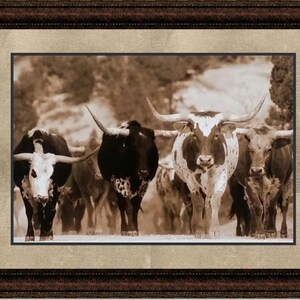 Texas Longhorn Framed Art | Various Styles