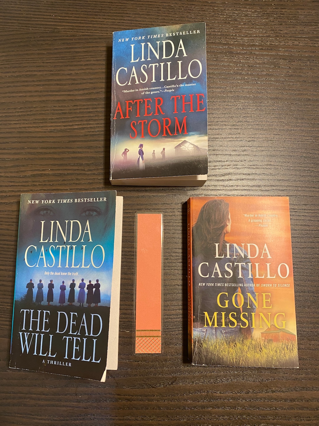 3 Books by Linda Castillo After the Storm, the Dead Will Tell, Gone