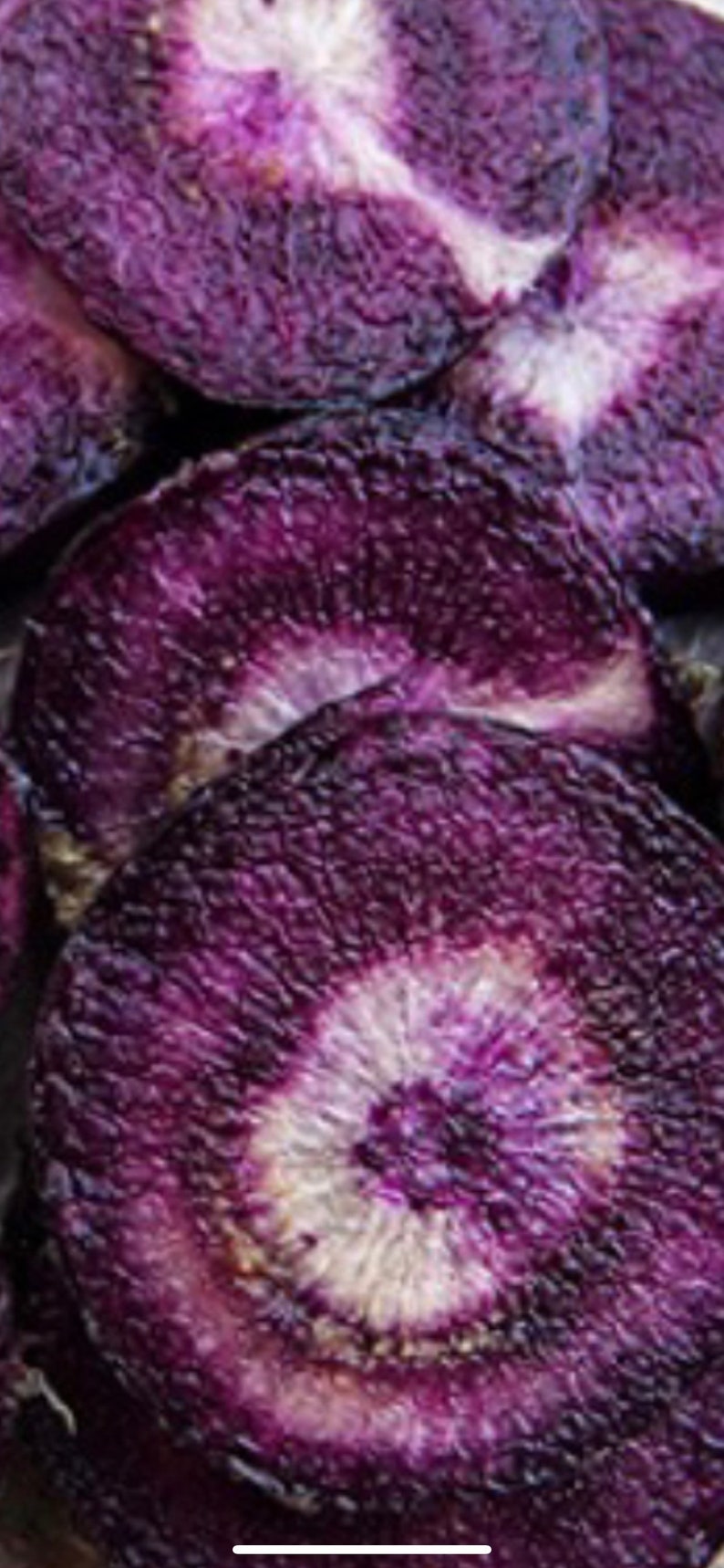 15 Rare Black Nebula Carrot Seeds