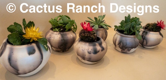 Horse Hair Pottery Small Bowl with succulent or cactus
